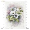 letnie kwiaty, bukiet kwiataów*Summer flowers, flower bouquet*Sommerblumen, Blumenstrauß*Flores de verano, ramo de flores 